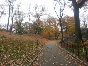 Fall Foliage at Central Park